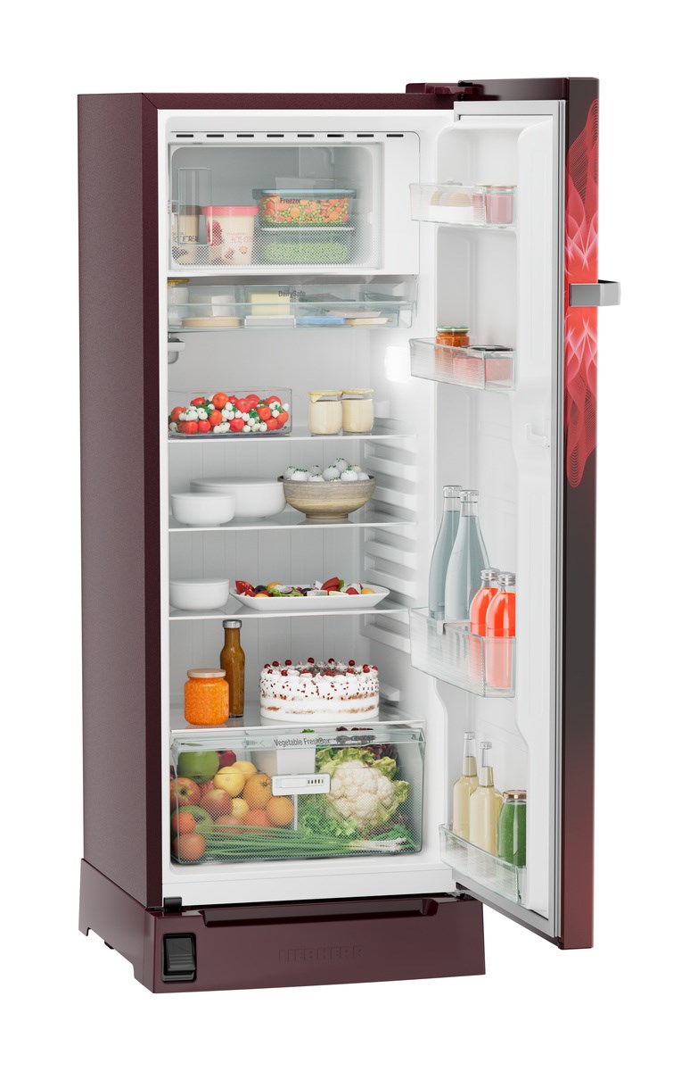 DFBrmD 2225 Plus Single-door refrigerator 222 l with foot pedal 